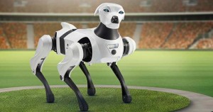 एनपिएलमा रोबोट डग हेर्न पाइने