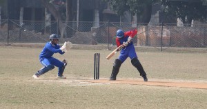 हिसान क्रिकेट: शिक्षादिप र विराट क्याम्पस विजयी